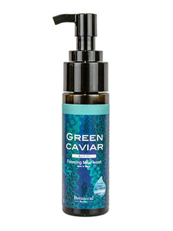 Ryu spa Botanical 泡フェイスウォッシュ(150ml)海ぶどう　gd377